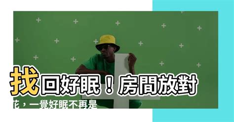 房間可以放什麼花